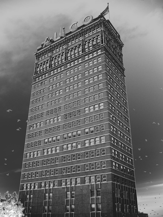Illustration for article titled 18 Oddworld Photos That Reverse Light And Dark